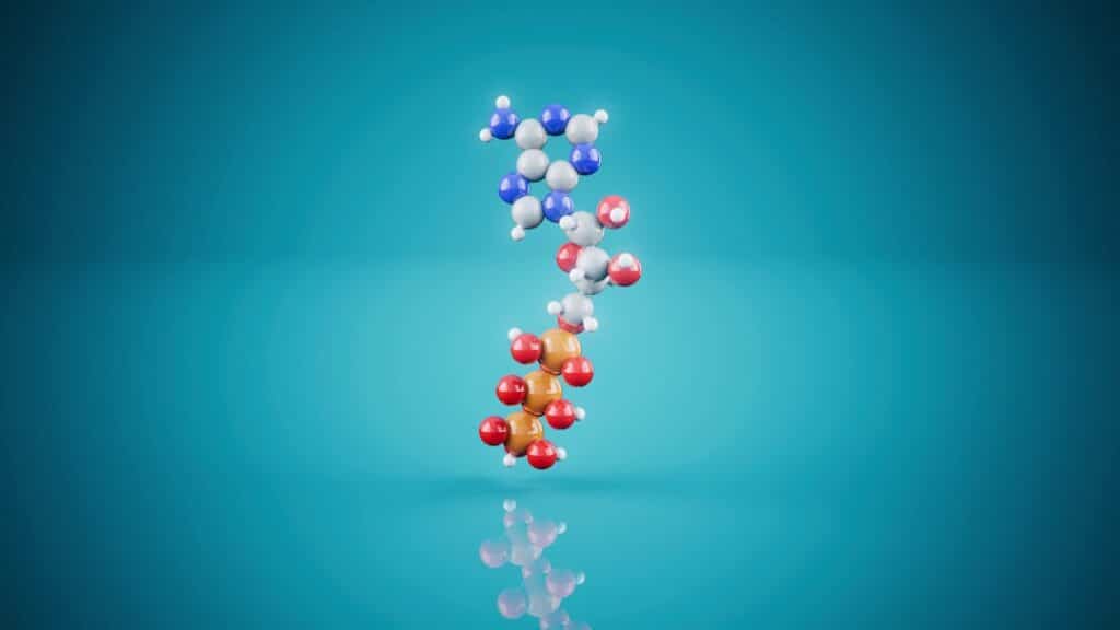 3D molecular model of atp on a blue background.